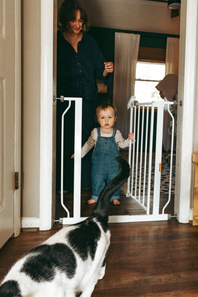 A toddler walks toward the family cat during an in home photoshoot with an alabama family photographer